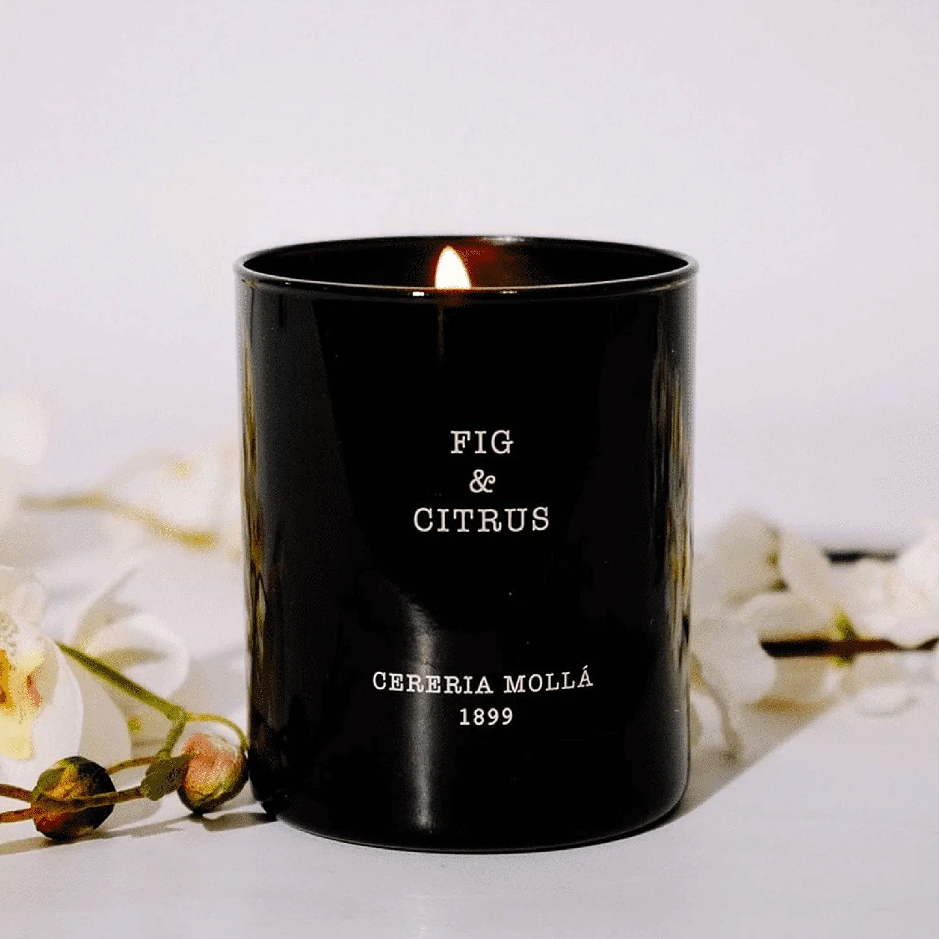 Žvakė "Fig & Citrus"